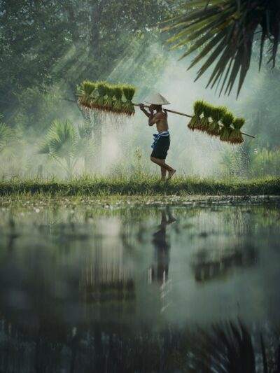 Agriculture